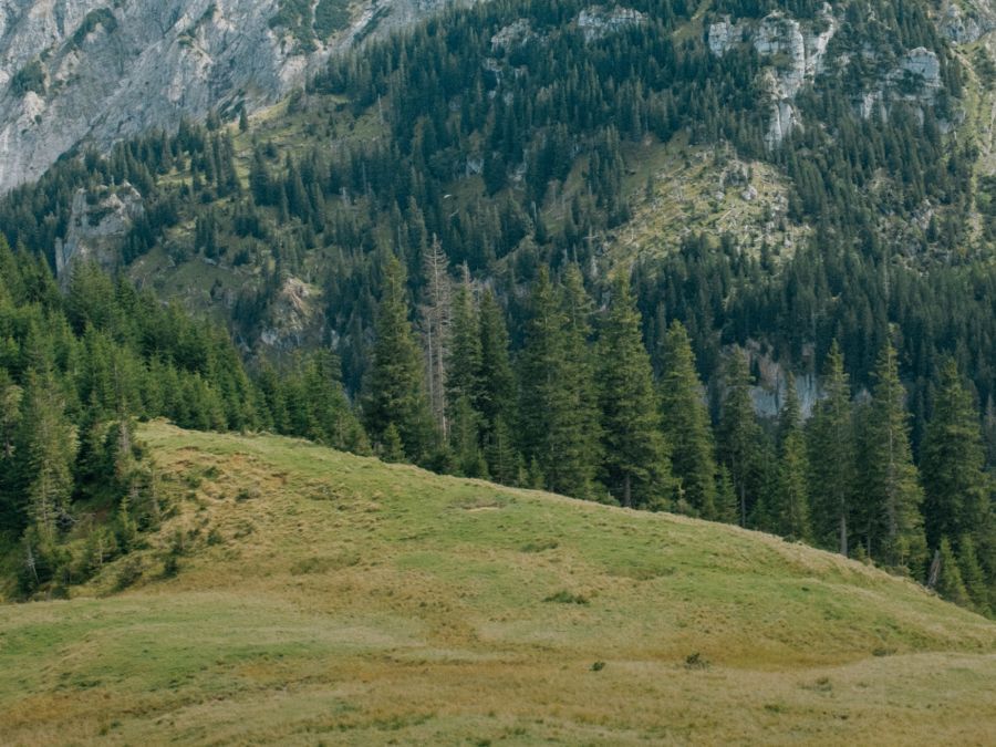 Equipment Care products