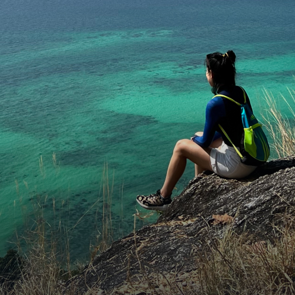 Varnvarn sitting on a rock by the coast